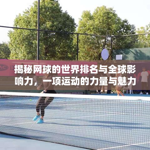 揭秘网球的世界排名与全球影响力,一项运动的力量与魅力