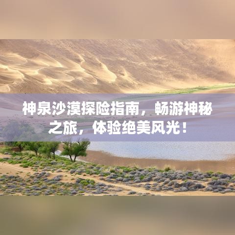 神泉沙漠探险指南,畅游神秘之旅,体验绝美风光!