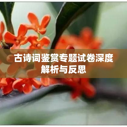 古诗词鉴赏专题试卷深度解析与反思