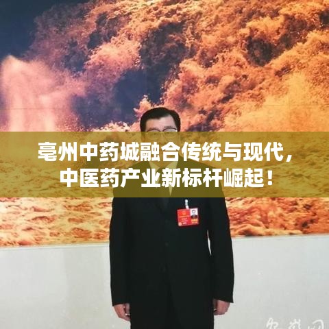 亳州中药城融合传统与现代,中医药产业新标杆崛起!