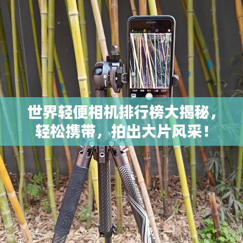 世界轻便相机排行榜大揭秘,轻松携带,拍出大片风采!