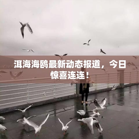 无影无踪 第6页