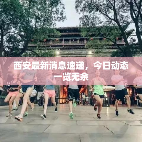 西安最新消息速递,今日动态一览无余