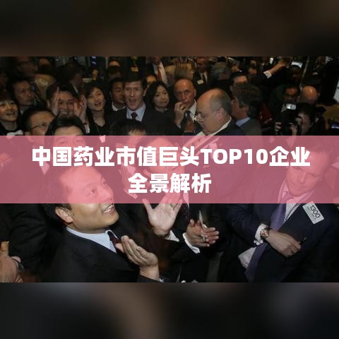 中国药业市值巨头TOP10企业全景解析