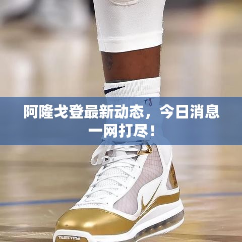 阿隆戈登最新动态,今日消息一网打尽!