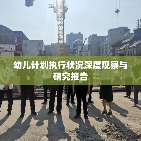 幼儿计划执行状况深度观察与研究报告