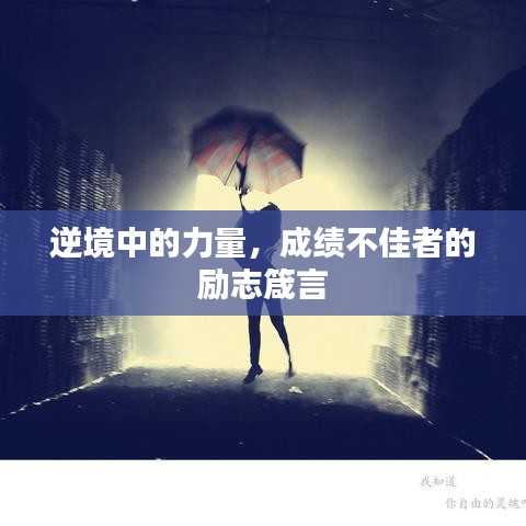 逆境中的力量，成绩不佳者的励志箴言