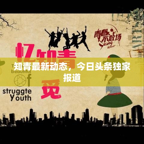 知青最新动态，今日头条独家报道