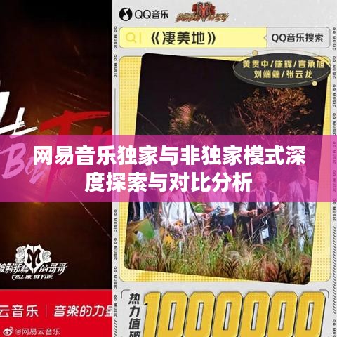 网易音乐独家与非独家模式深度探索与对比分析