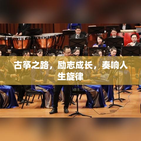古筝之路,励志成长,奏响人生旋律