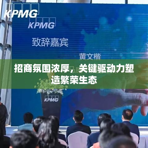 招商氛围浓厚，关键驱动力塑造繁荣生态