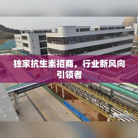 独家抗生素招商,行业新风向引领者