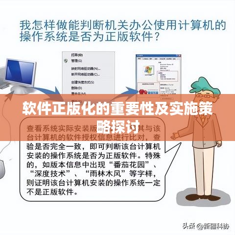 软件正版化的重要性及实施策略探讨