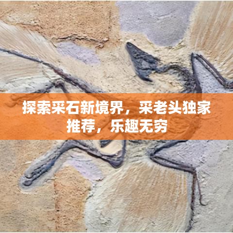 探索采石新境界,采老头独家推荐,乐趣无穷