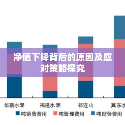净值下降背后的原因及应对策略探究