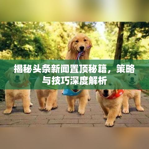 揭秘头条新闻置顶秘籍,策略与技巧深度解析