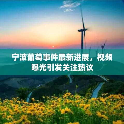 宁波葡萄事件最新进展,视频曝光引发关注热议