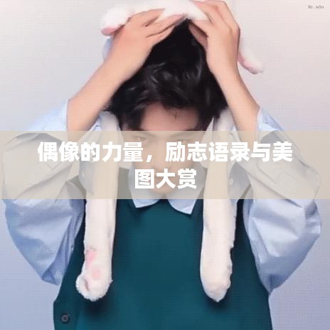 偶像的力量，励志语录与美图大赏