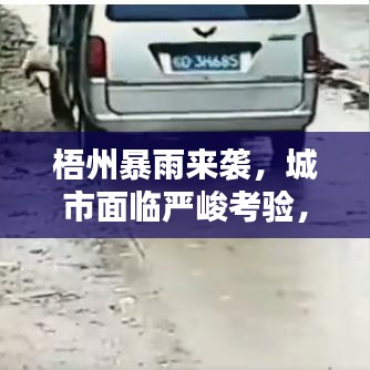 梧州暴雨来袭,城市面临严峻考验,岺溪成灾考验应对能力