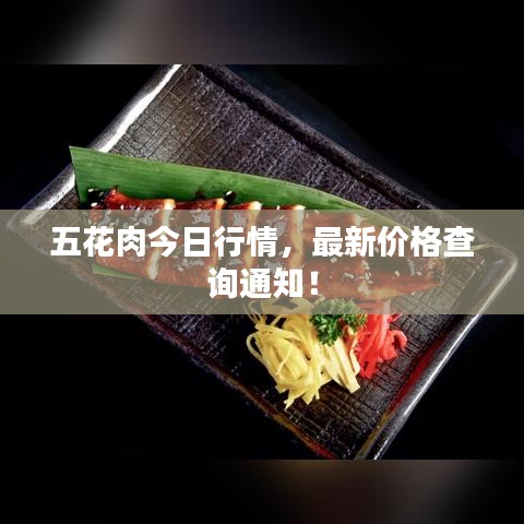 五花肉今日行情，最新价格查询通知！