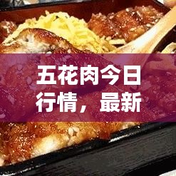 五花肉今日行情,最新价格查询通知!