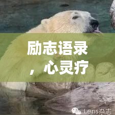 励志语录，心灵疗愈的力量源泉，伤心时的温暖安慰