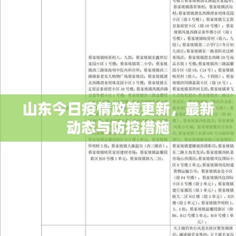 山东今日疫情政策更新,最新动态与防控措施