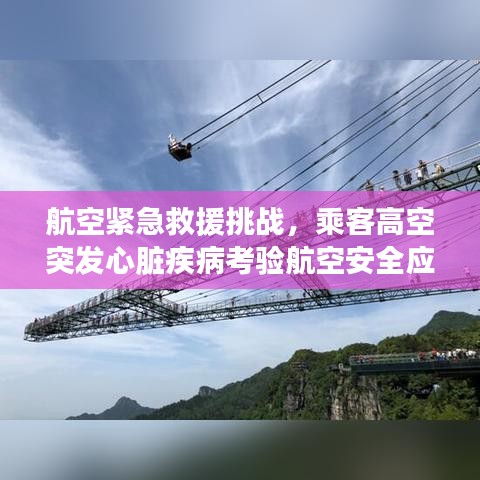 航空紧急救援挑战，乘客高空突发心脏疾病考验航空安全应对能力