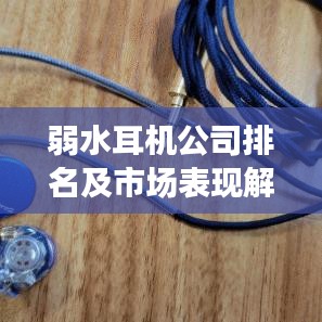 弱水耳机公司排名及市场表现解析，市场影响力与竞争力揭秘