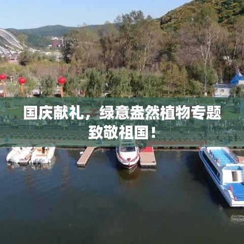 国庆献礼，绿意盎然植物专题致敬祖国！