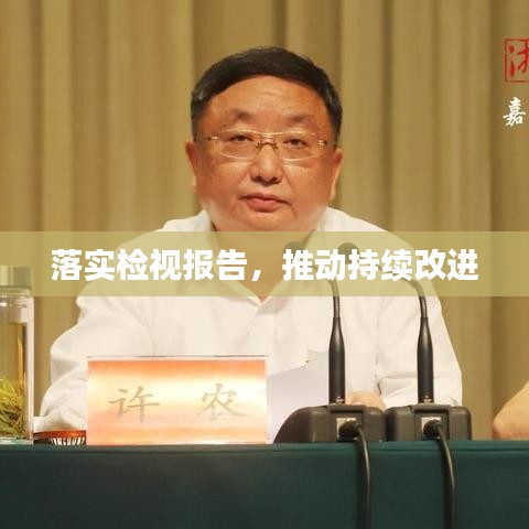 落实检视报告,推动持续改进