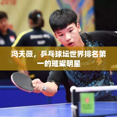 冯天薇,乒乓球坛世界排名第一的璀璨明星