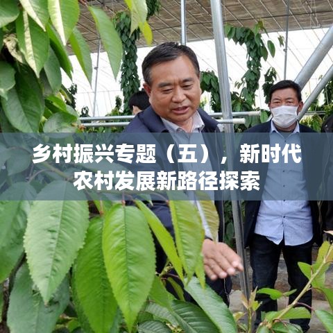 乡村振兴专题（五），新时代农村发展新路径探索