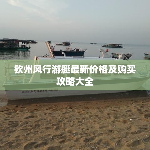 钦州风行游艇最新价格及购买攻略大全