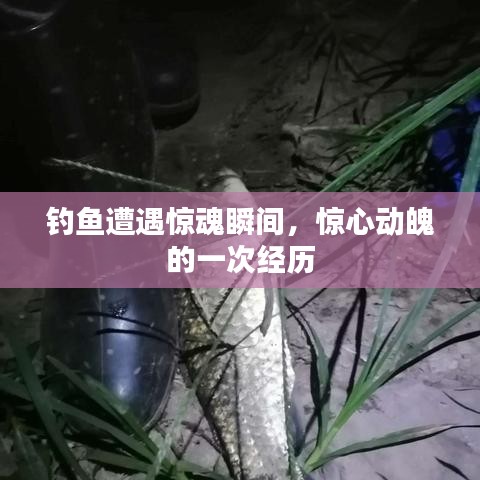 钓鱼遭遇惊魂瞬间，惊心动魄的一次经历
