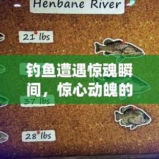 钓鱼遭遇惊魂瞬间,惊心动魄的一次经历