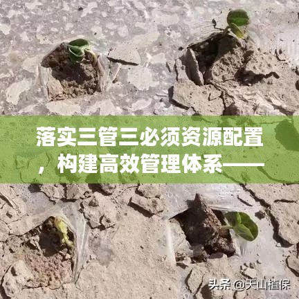 落实三管三必须资源配置,构建高效管理体系——企业管理的关键所在