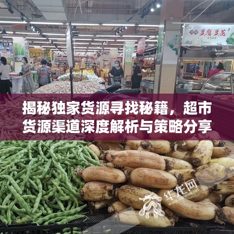 揭秘独家货源寻找秘籍,超市货源渠道深度解析与策略分享