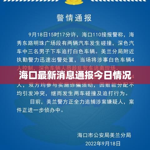 海口最新消息通报今日情况