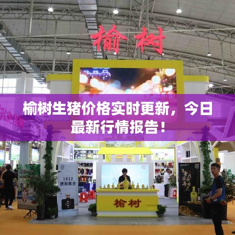 榆树生猪价格实时更新，今日最新行情报告！