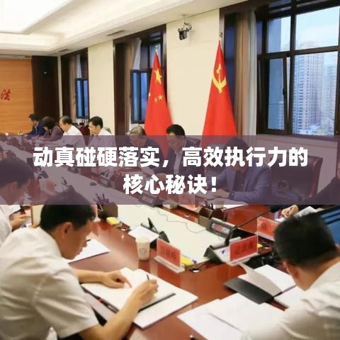 动真碰硬落实,高效执行力的核心秘诀!