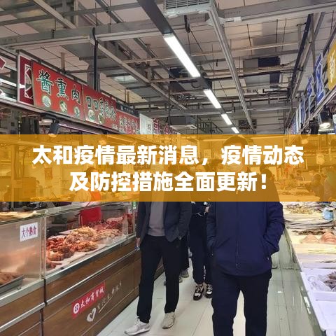 太和疫情最新消息,疫情动态及防控措施全面更新!