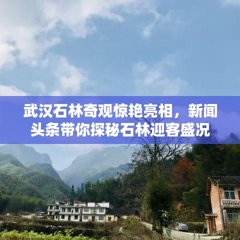 武汉石林奇观惊艳亮相，新闻头条带你探秘石林迎客盛况