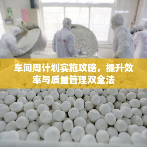 车间周计划实施攻略，提升效率与质量管理双全法