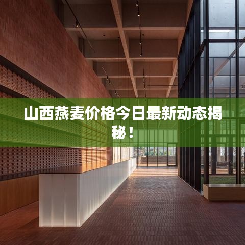 山西燕麦价格今日最新动态揭秘！