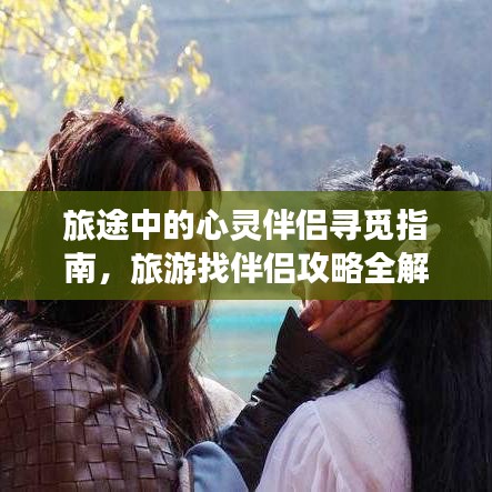 旅途中的心灵伴侣寻觅指南，旅游找伴侣攻略全解析
