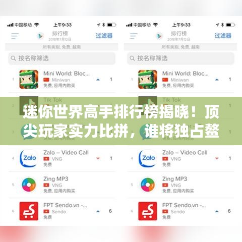 诚心诚意 第5页