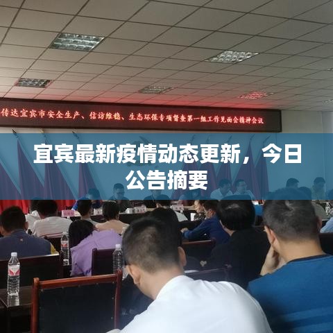 宜宾最新疫情动态更新，今日公告摘要