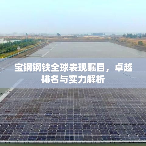 宝钢钢铁全球表现瞩目，卓越排名与实力解析