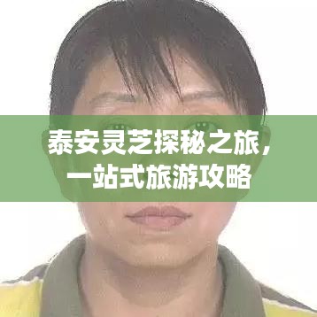 泰安灵芝探秘之旅,一站式旅游攻略